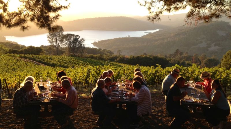 Rolling vineyard views in North Georgia wine country
