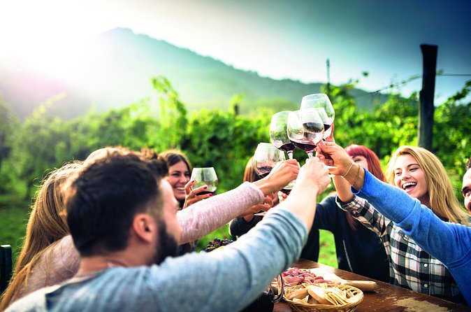 Personalized tasting experience at a North Georgia vineyard